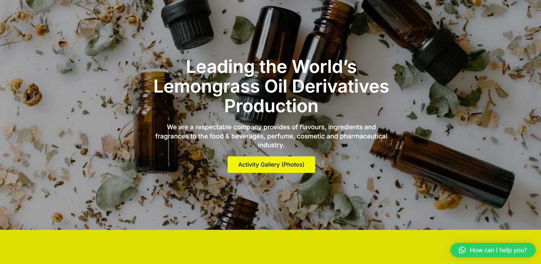 Portofolio-Hasil-Jasa-Pembuatan-Website-Landing-Page-Web-Ekspor-Plasmadinah